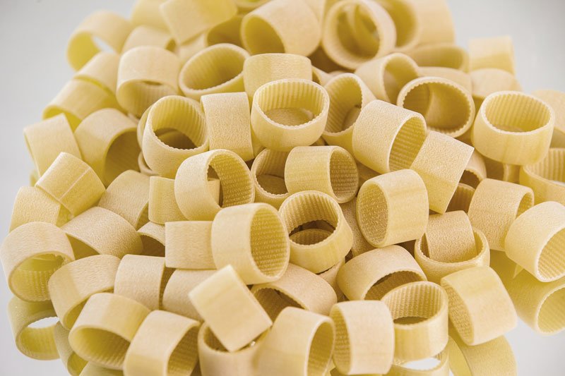 Calamari Biologici toscani