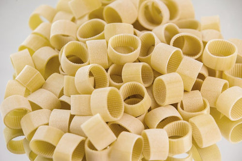 Calamari Biologici toscani